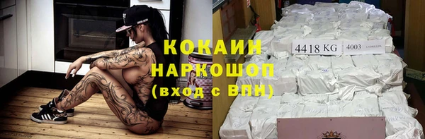 прущие грибы Нея