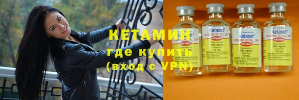 прущие грибы Нея