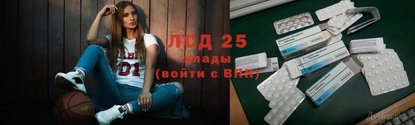 прущие грибы Нея