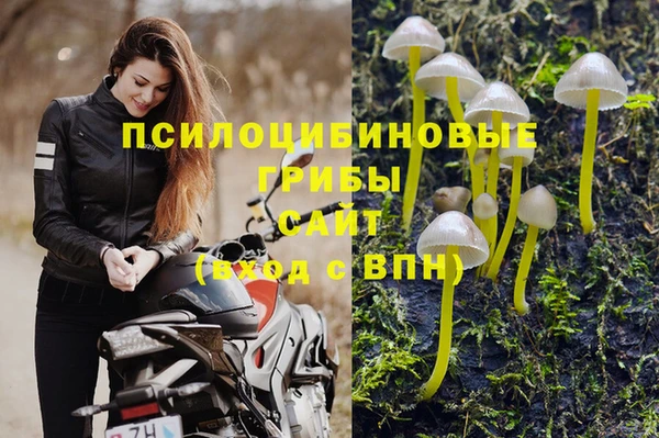 прущие грибы Нея
