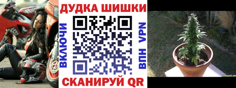 Бошки Шишки конопля Миньяр